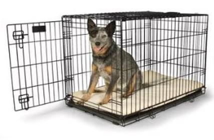 yes crate