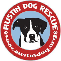 Austin Dog Rescue